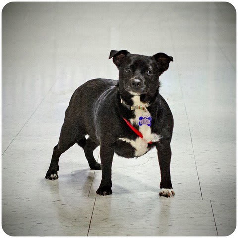 Photo of Munchkin