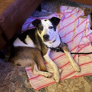 Photo of Maggie
