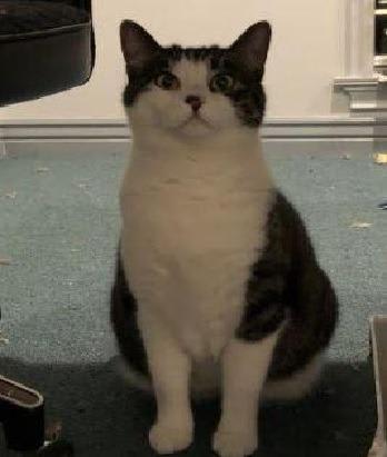 Photo of Tilly