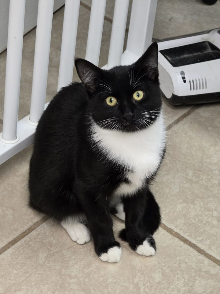 Photo of Tilly