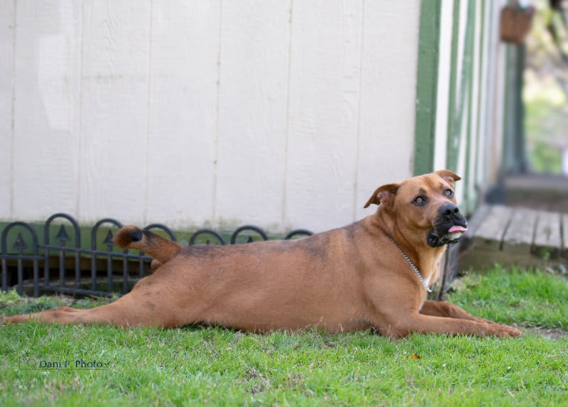 Photo of Jasper