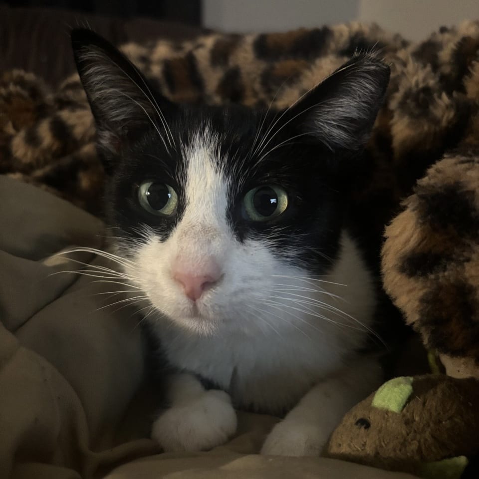Photo of Leila