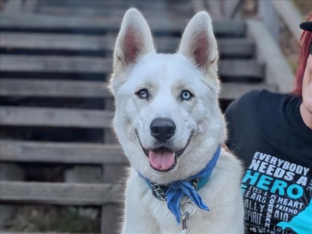 Photo of CHIP