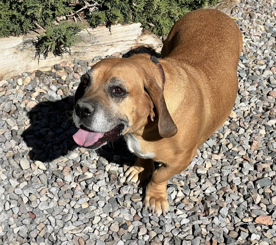 Photo of Mystical Ms Mindi = SWEET Cuddler !