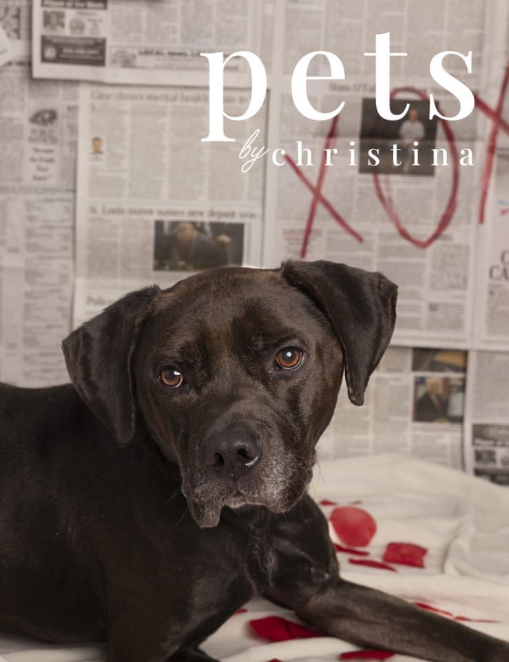 Photo of Zuse