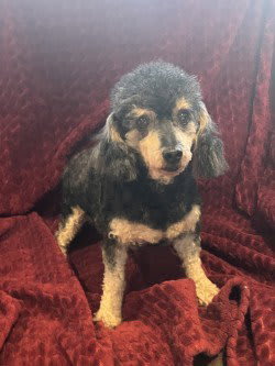 Photo of Millie Russell Dec 25