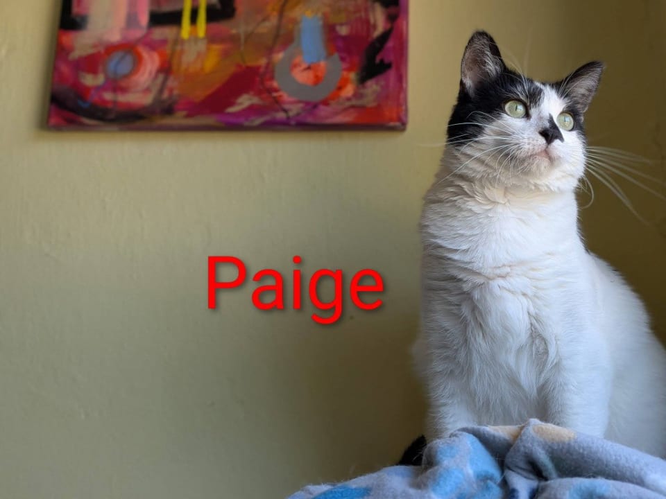 Photo of Paige