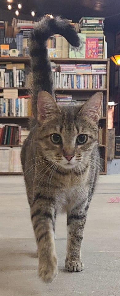 Photo of Omi