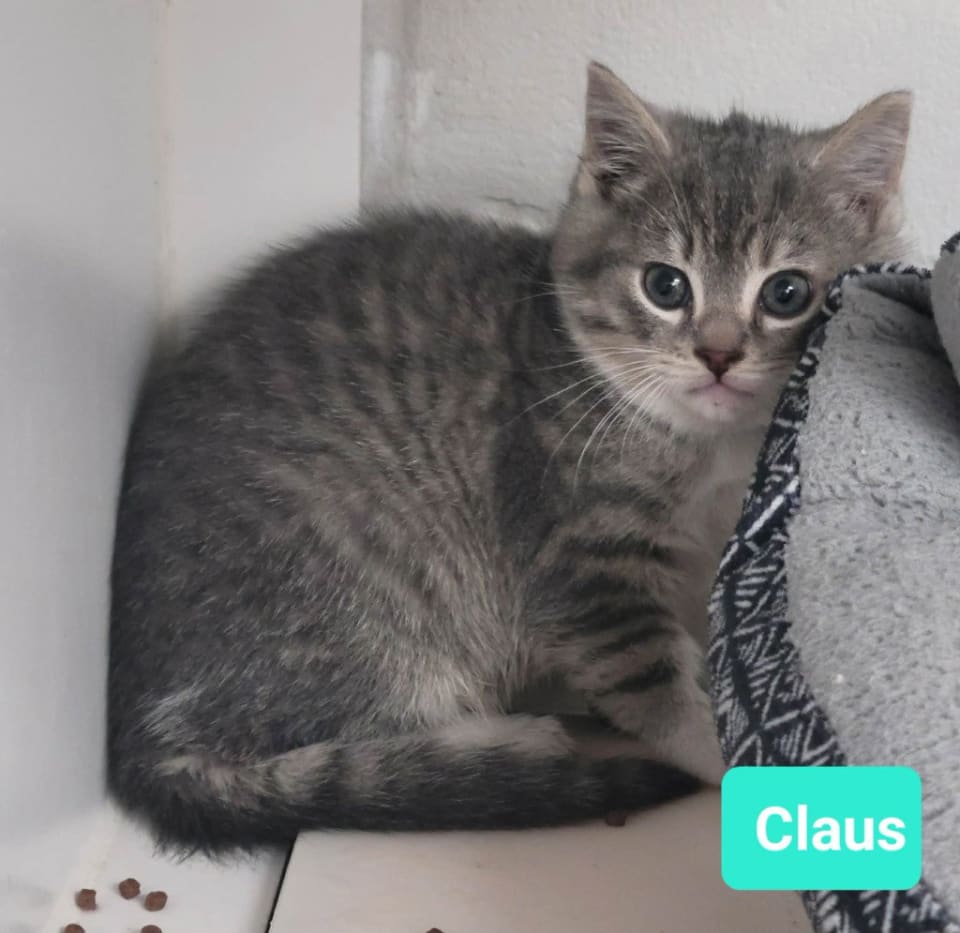 Photo of Claus