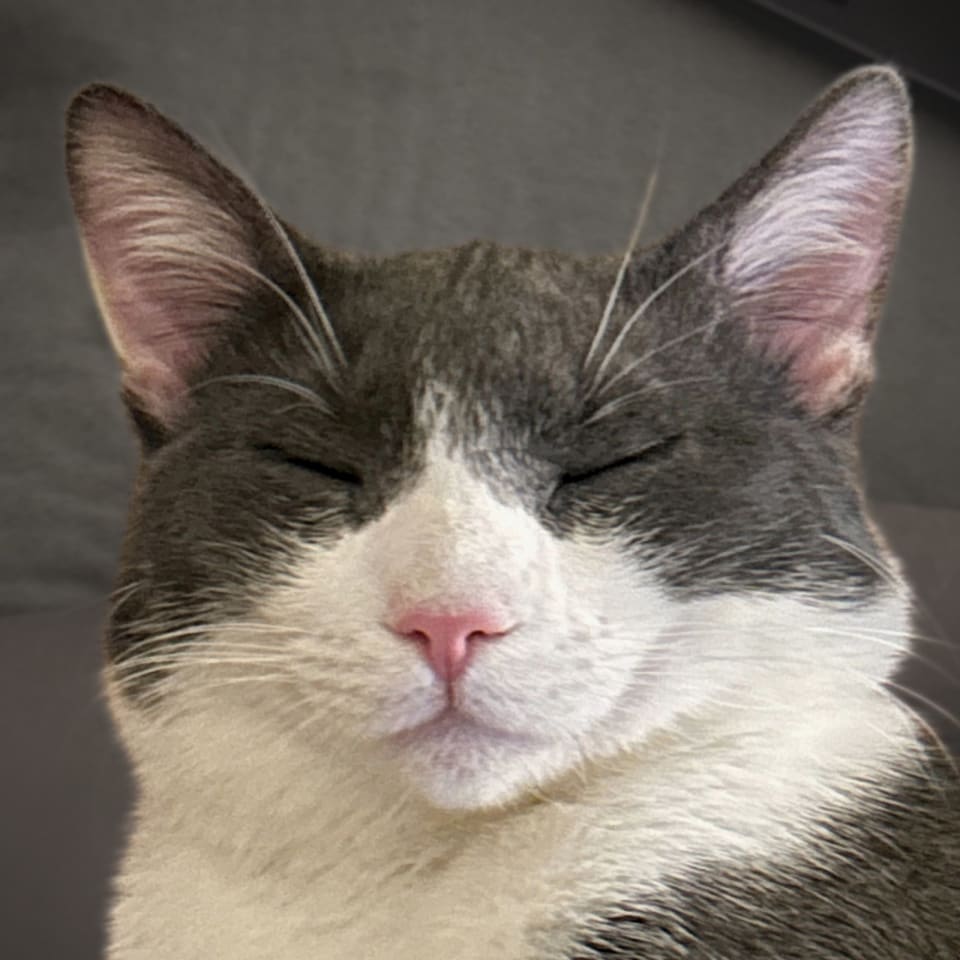 Photo of Goosie Gus