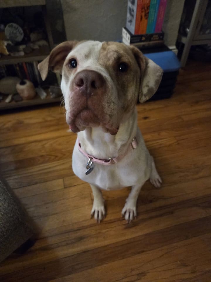 Photo of Sola