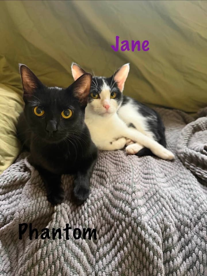 Photo of Jane