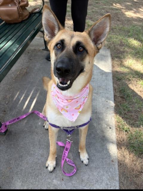Photo of NALA