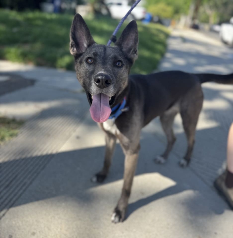 Photo of STORMY