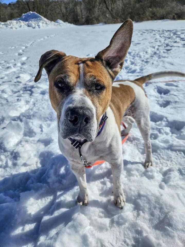 Photo of Wally