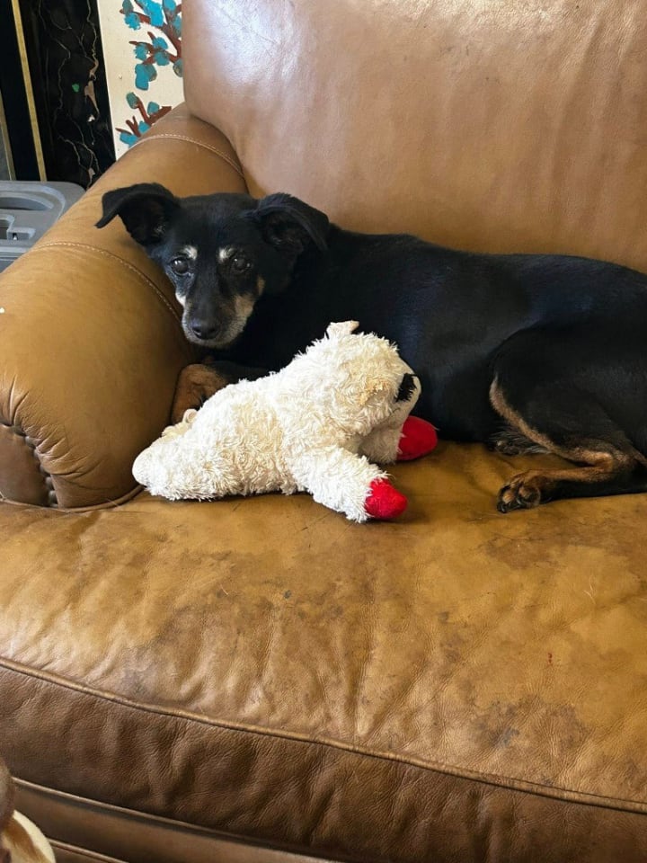 Photo of Honey