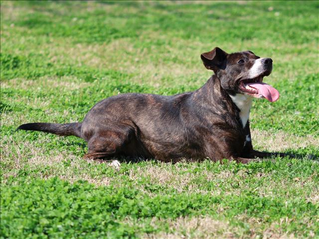 Photo of COLT