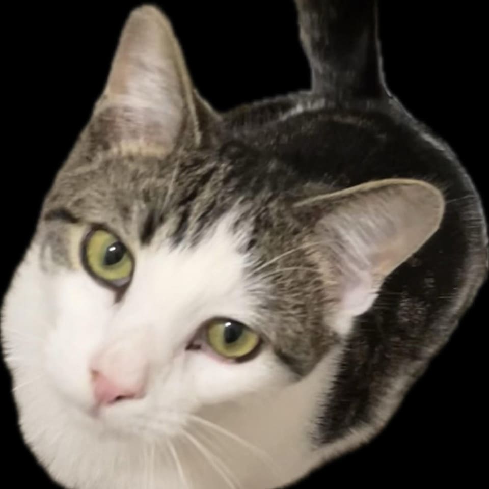 Photo of Ying