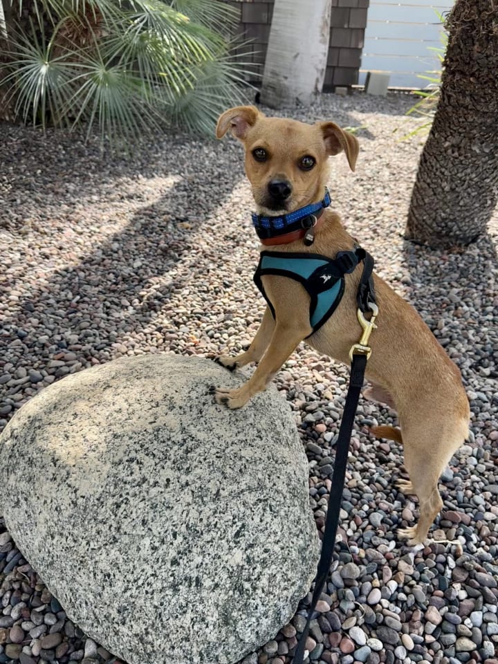 Photo of Calvin