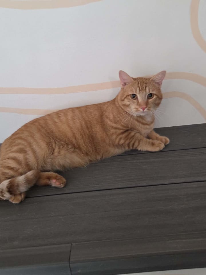 Photo of Thomas