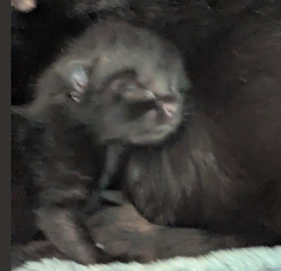 Photo of ATHENA