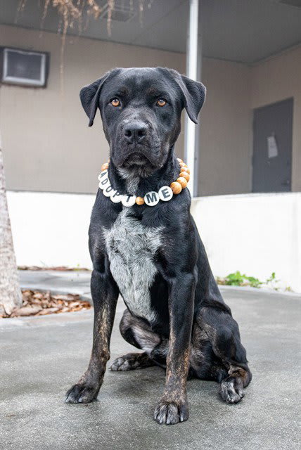 Photo of GUNTHER