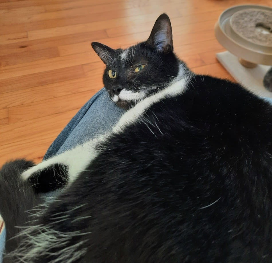 Photo of Blinky