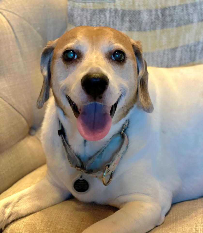 Photo of Hattie