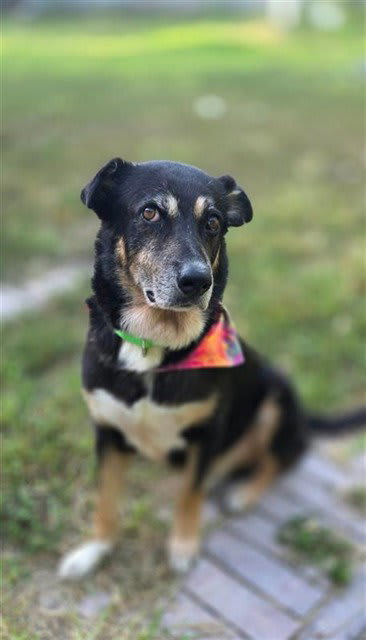 Photo of TOBIAS