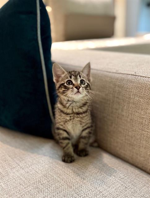 Photo of CHARLIE