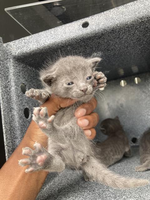Photo of KIWI