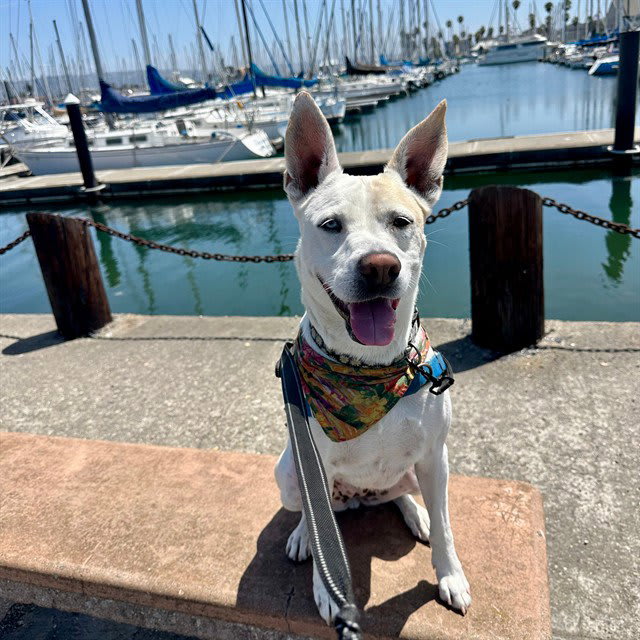Photo of DAISY