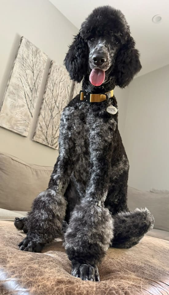 Photo of Marlo