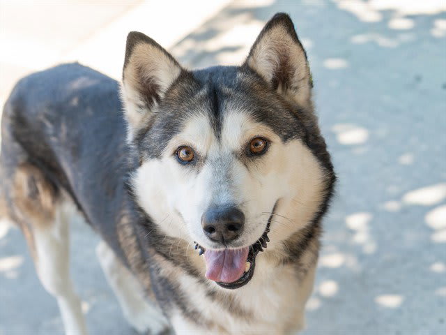Photo of LOVO
