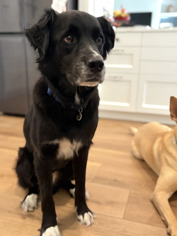 Photo of Asher
