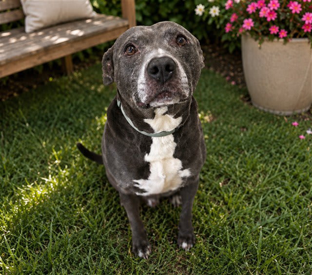 Photo of BENNY