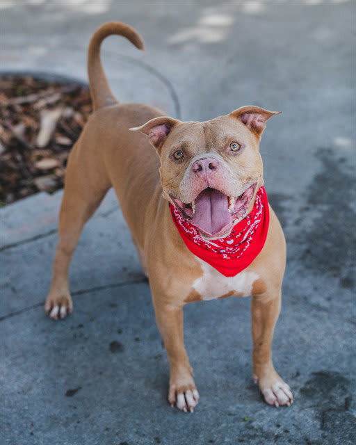Photo of AMOS