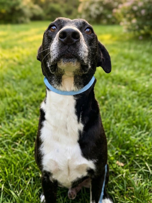 Photo of LUCKY