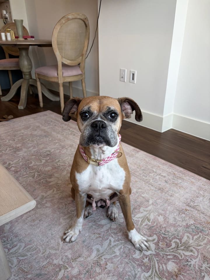 Photo of Dolly