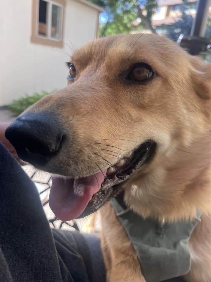 Photo of Cinnamon
