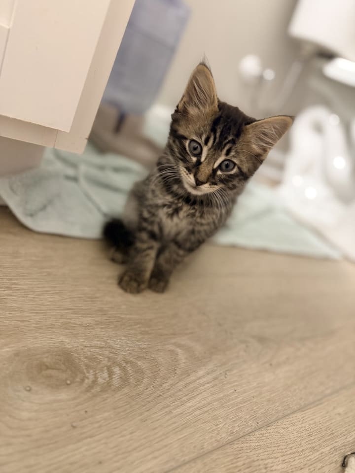 Photo of Sucker