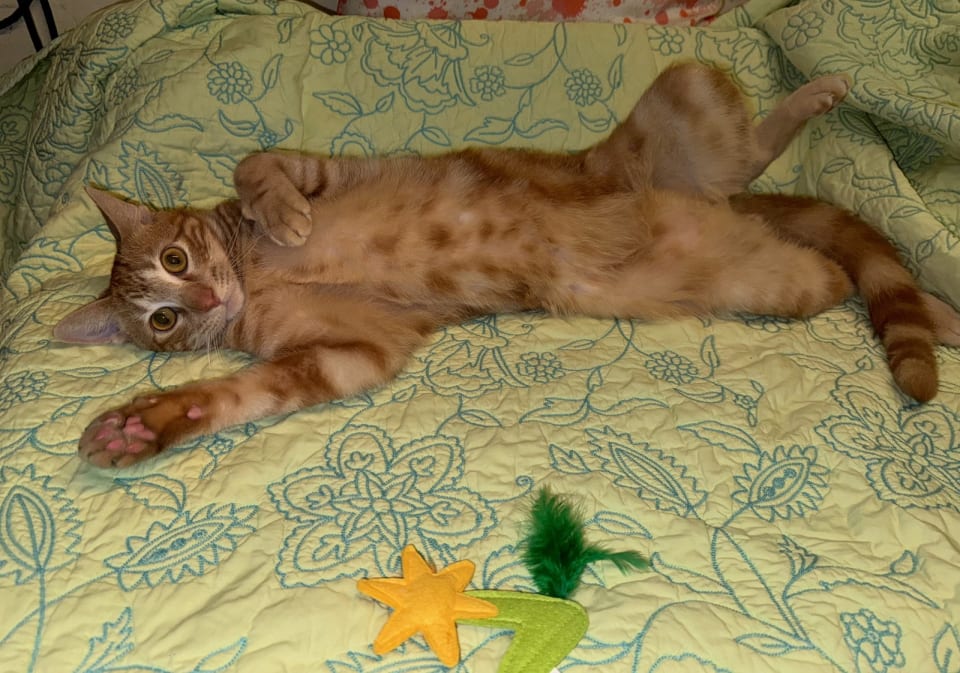 Photo of Chuck