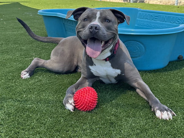 Photo of FLINT