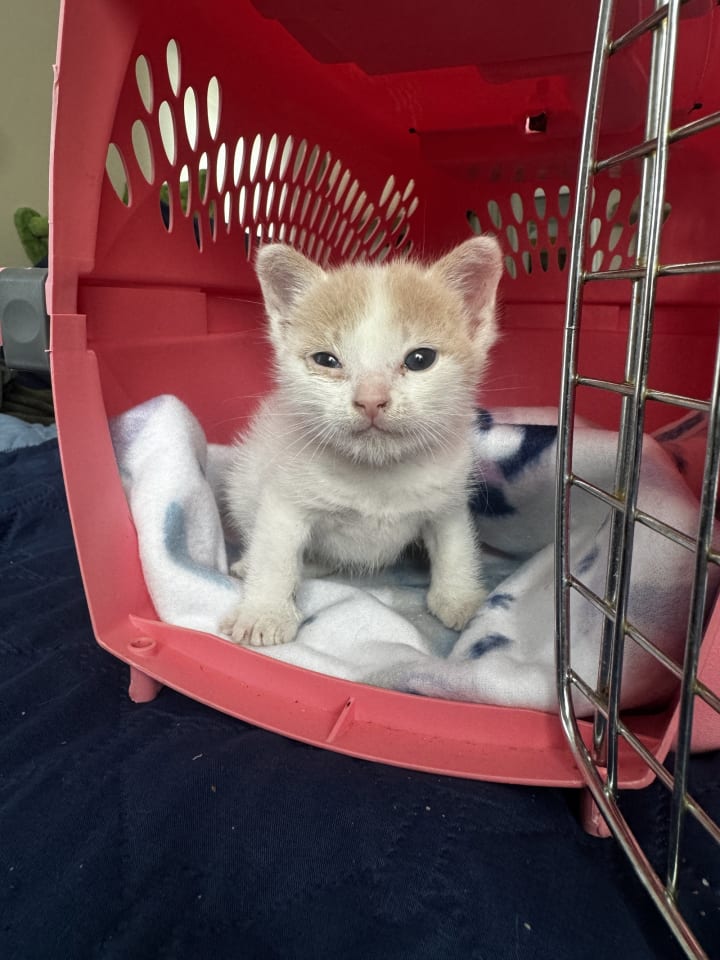 Photo of Winnie