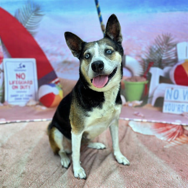 Photo of SASHA