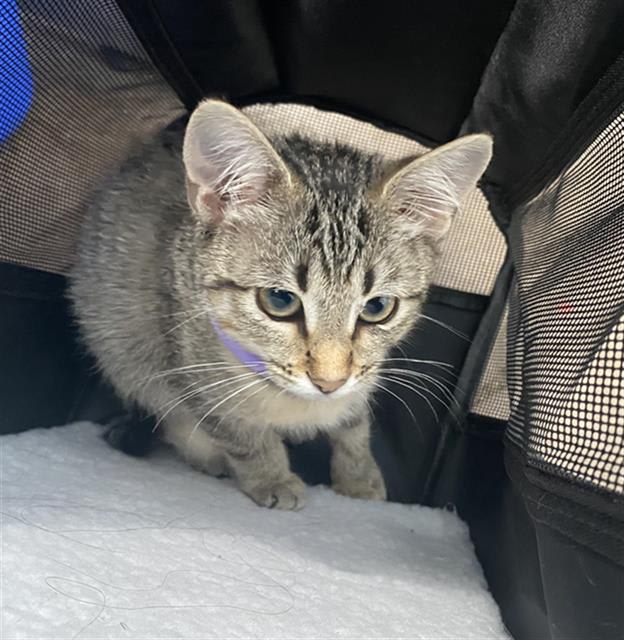 Photo of KIKI