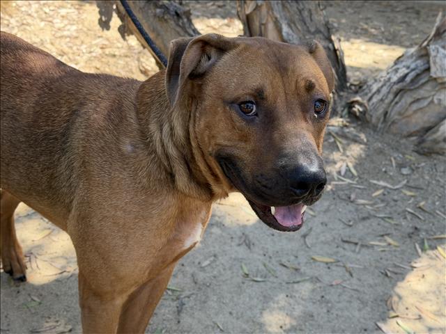 Photo of MAX