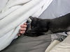 Photo of Chrissy, Willow Grove Area,