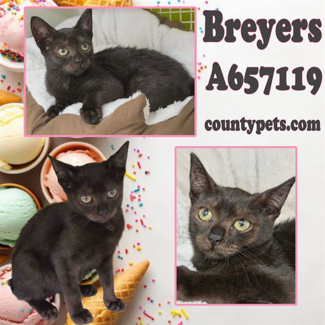 Photo of BREYERS
