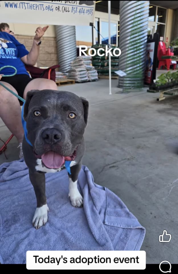 Photo of Rocko